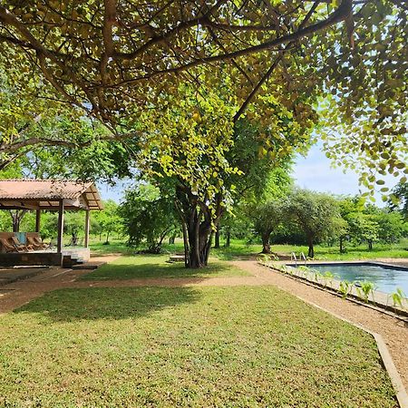 Bed and Breakfast Hide Yala Tissamaharama Exterior foto