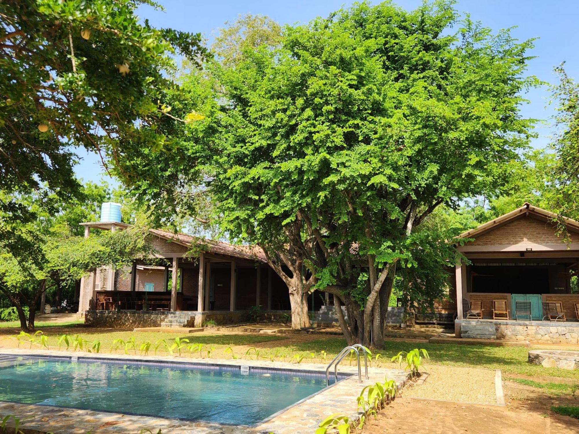 Bed and Breakfast Hide Yala Tissamaharama Exterior foto