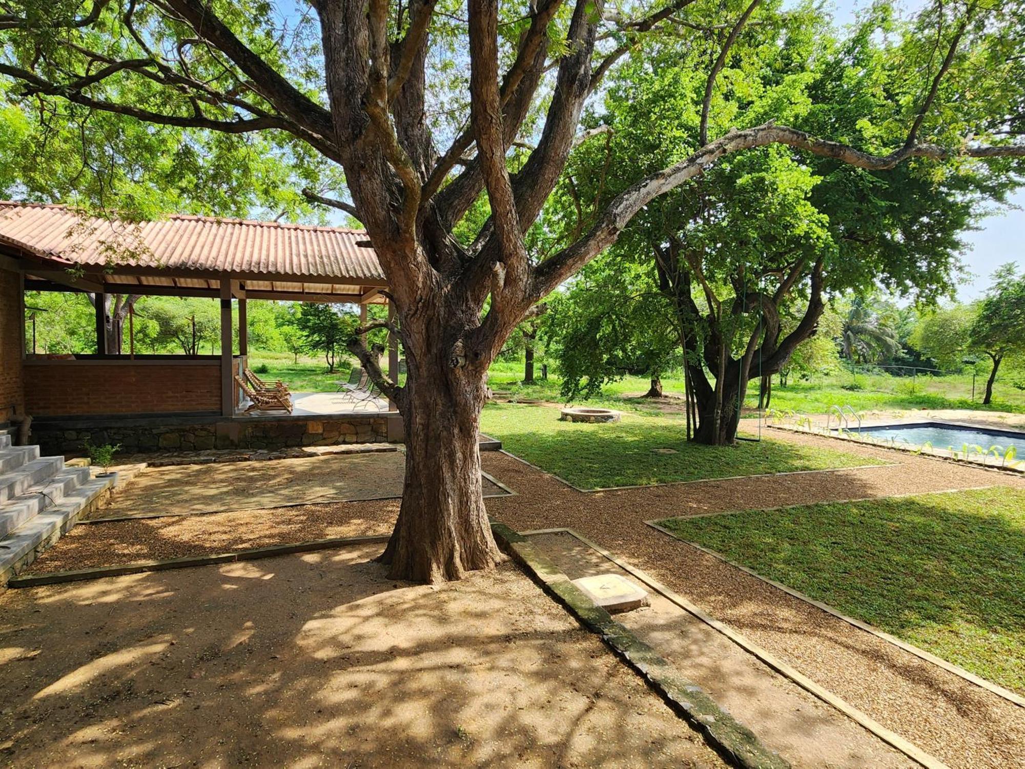 Bed and Breakfast Hide Yala Tissamaharama Exterior foto