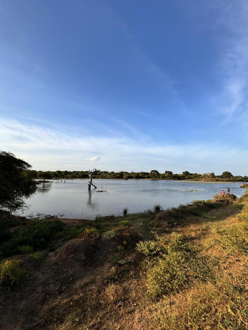 Bed and Breakfast Hide Yala Tissamaharama Exterior foto