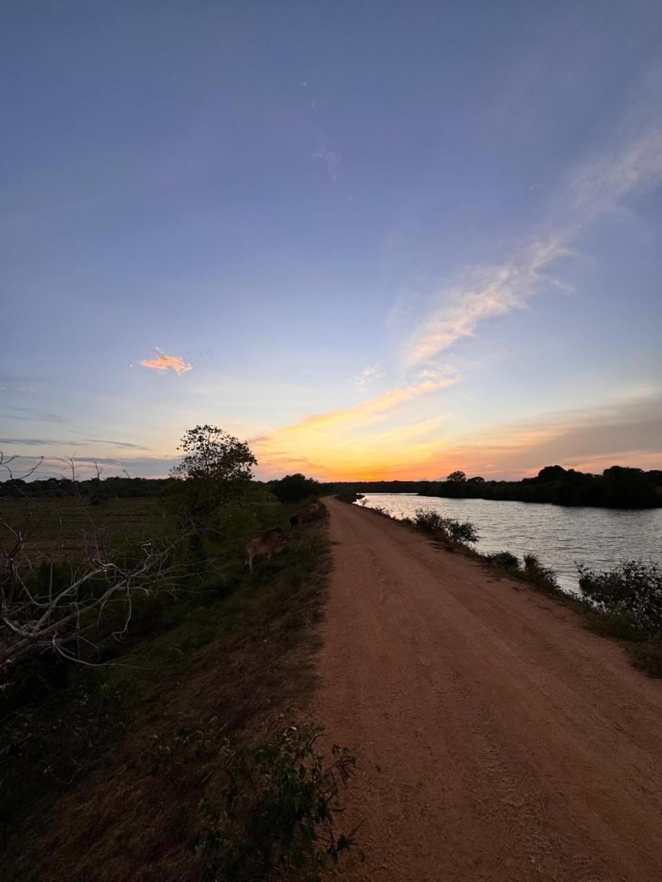 Bed and Breakfast Hide Yala Tissamaharama Exterior foto